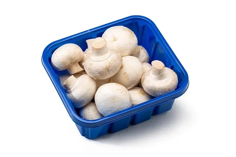 فطر Agaricus bisporus معلب المنتج
