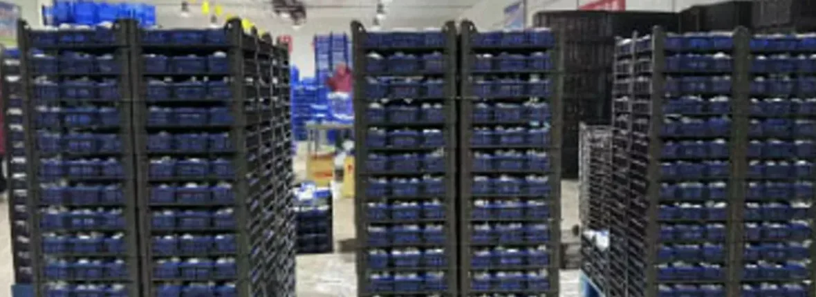 Ein klarerer Blick auf Anbau, Verpackung und Versandvorbereitung